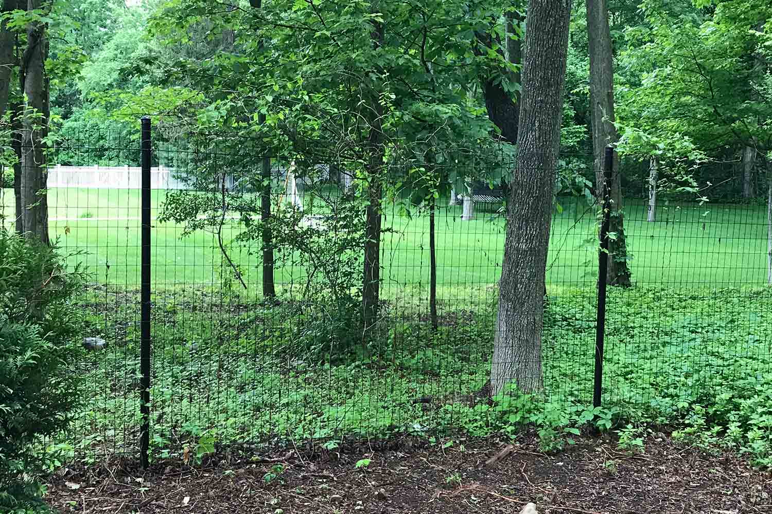 A Complete Guide To Deer Fencing Red Fox Fence Gates New